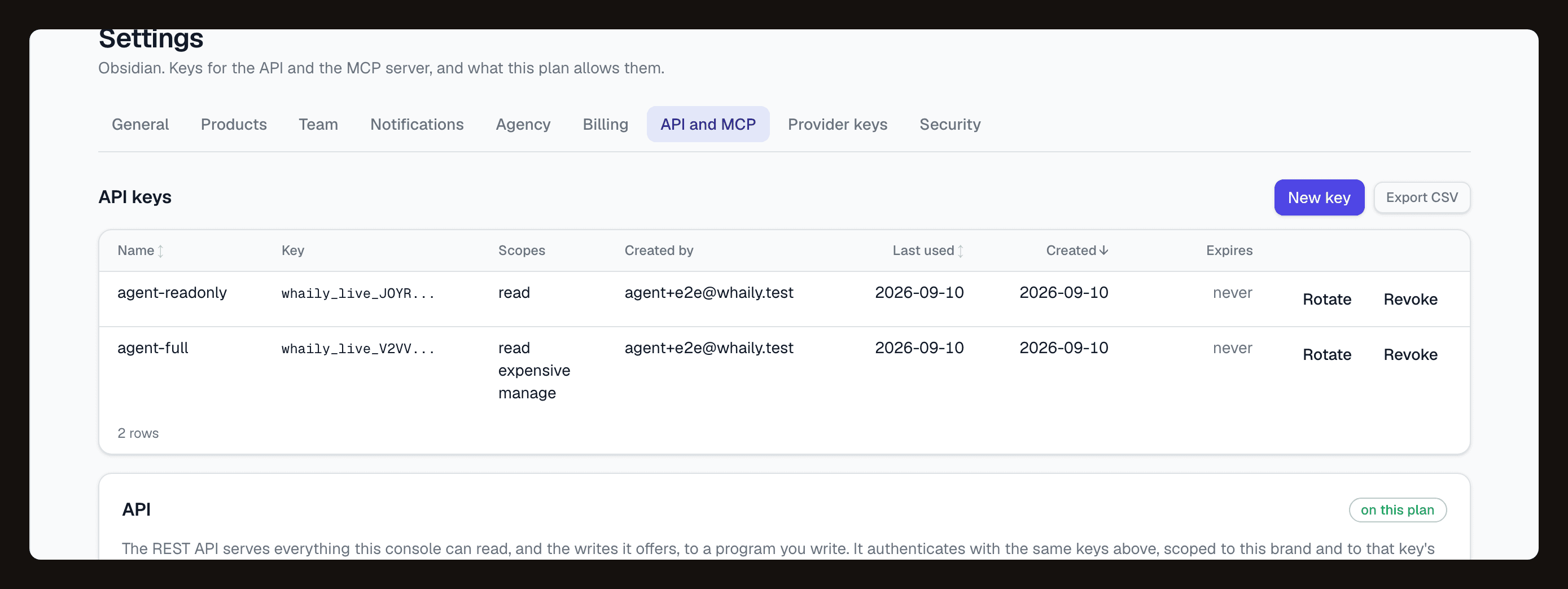 The API and MCP tab: each key with its scopes, who created it and when it was last used.